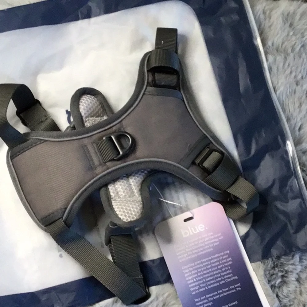Blue Dog Harness